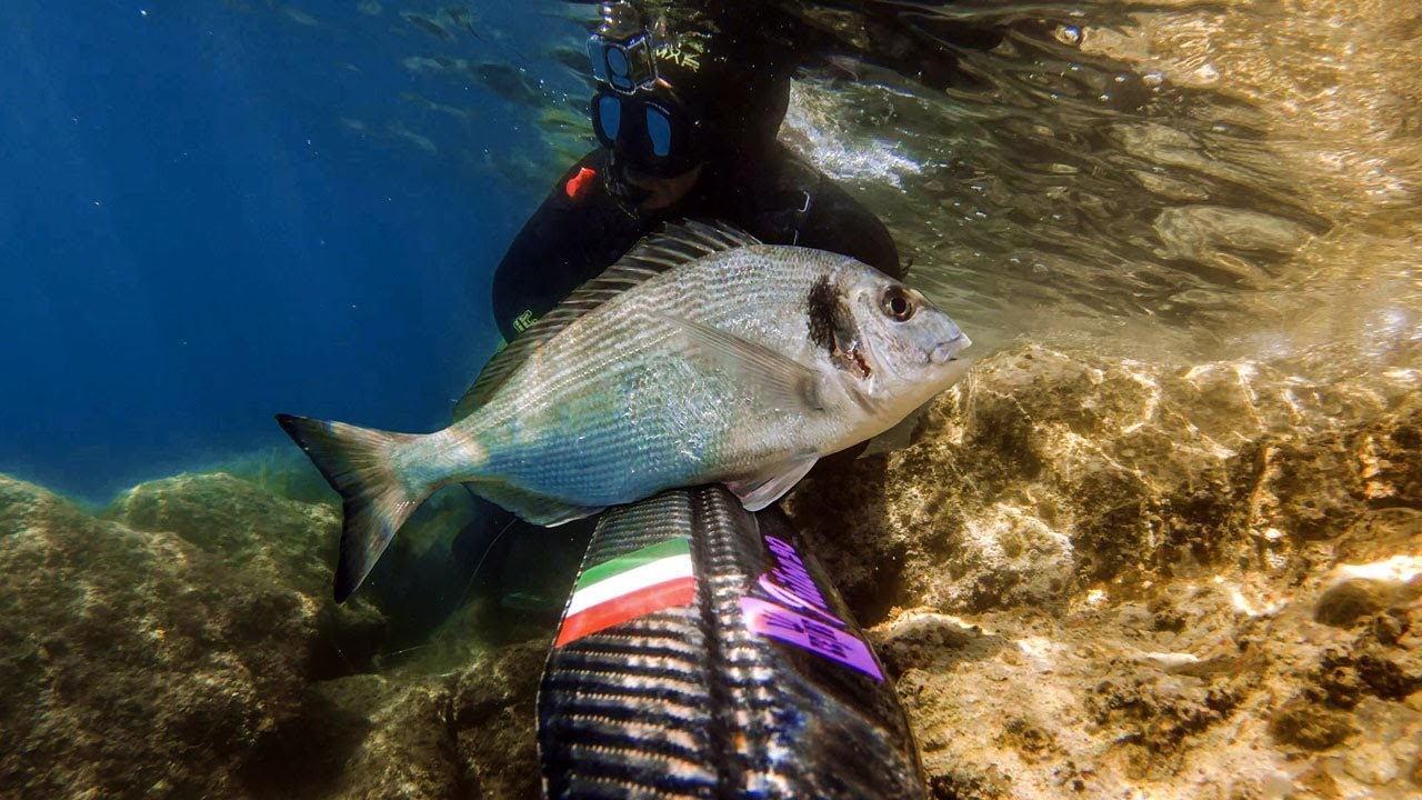 Spearfishing Croatia vs Spring Hunt in Murky Sea May 2025 4K 🇭🇷