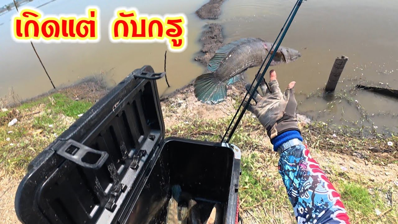 ใหญ่แลกเล็กก็เจ้งสิคร้าบ