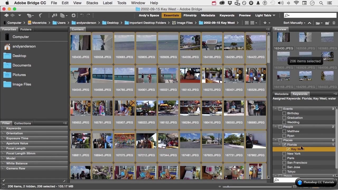 #10 How To Work WIth Keywords and Filters in Adobe Bridge | Adobe Photoshop | PsdZip