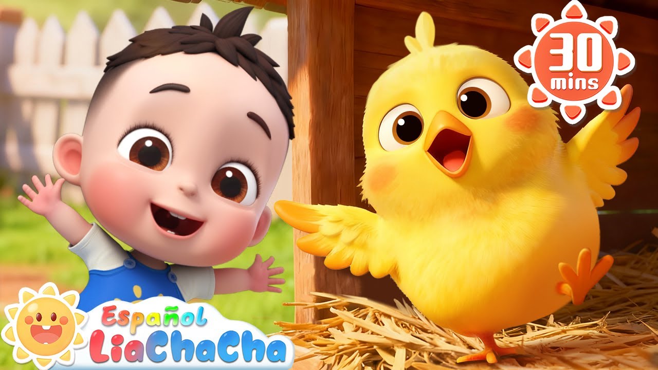 Mi Pollito Amarillito🐥 | Canción de la Granja | LiaChaCha en Español - Canciones Infantiles