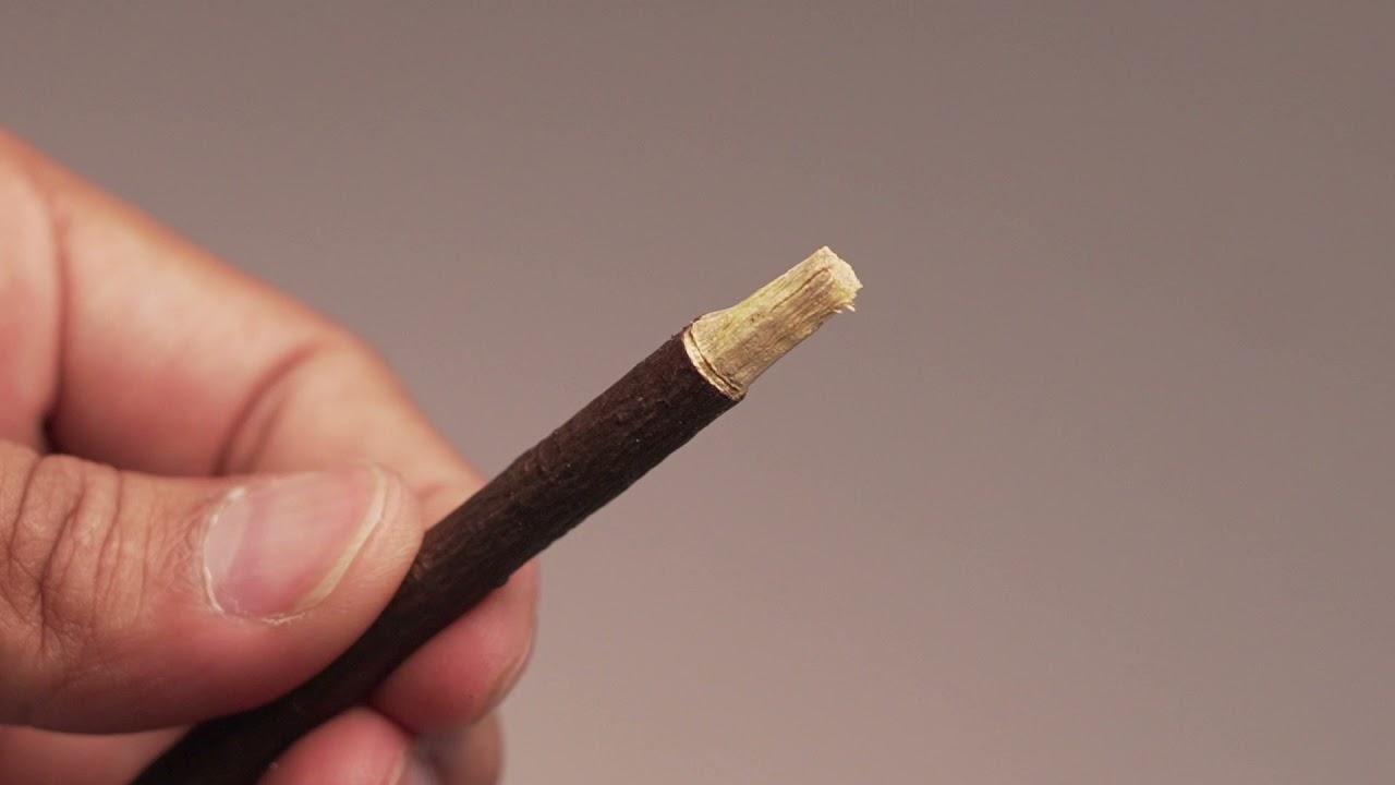 How to Cut/Maintain your Miswak