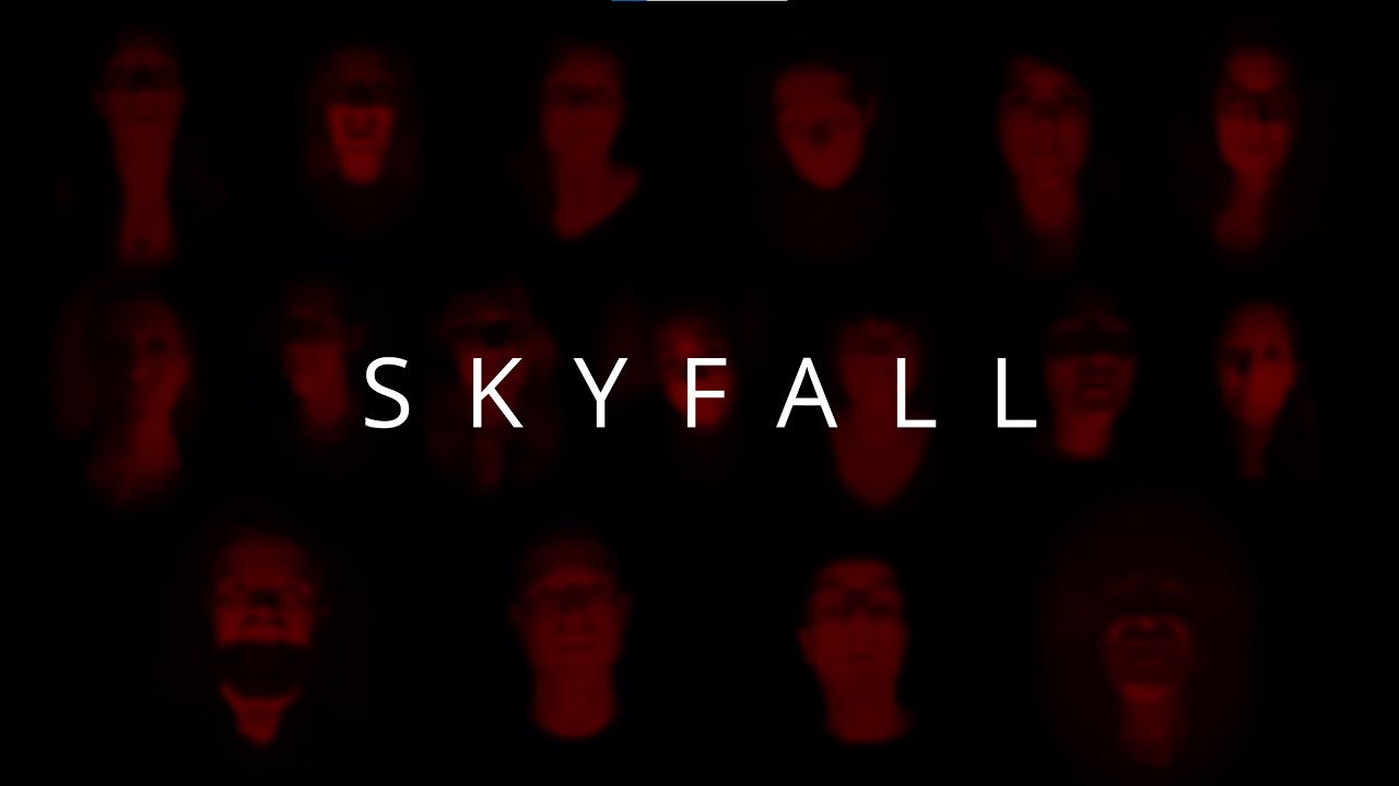 Gospelchor Sound'n'Soul - SKYFALL (Choir Version)