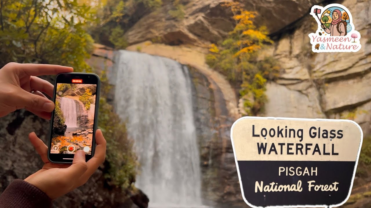 Chasing Fall Colors in North Carolina | Looking Glass Falls| Pisgah National Forest  🧡🍂✨