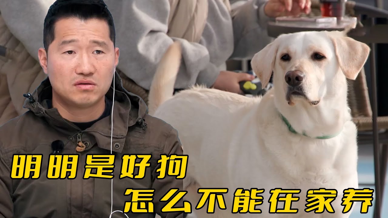 因為女兒養了條狗，媽媽6年沒踏進家門，訓犬師溫柔勸導化解矛盾
