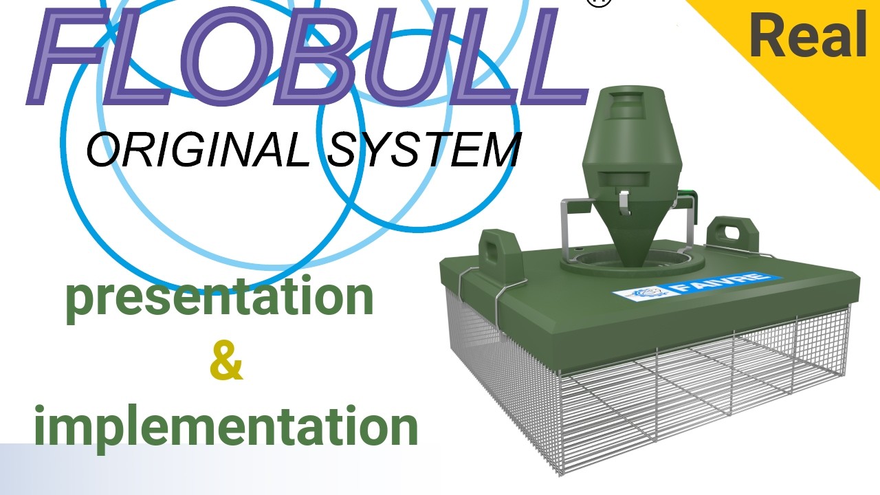 Flobull Presentation