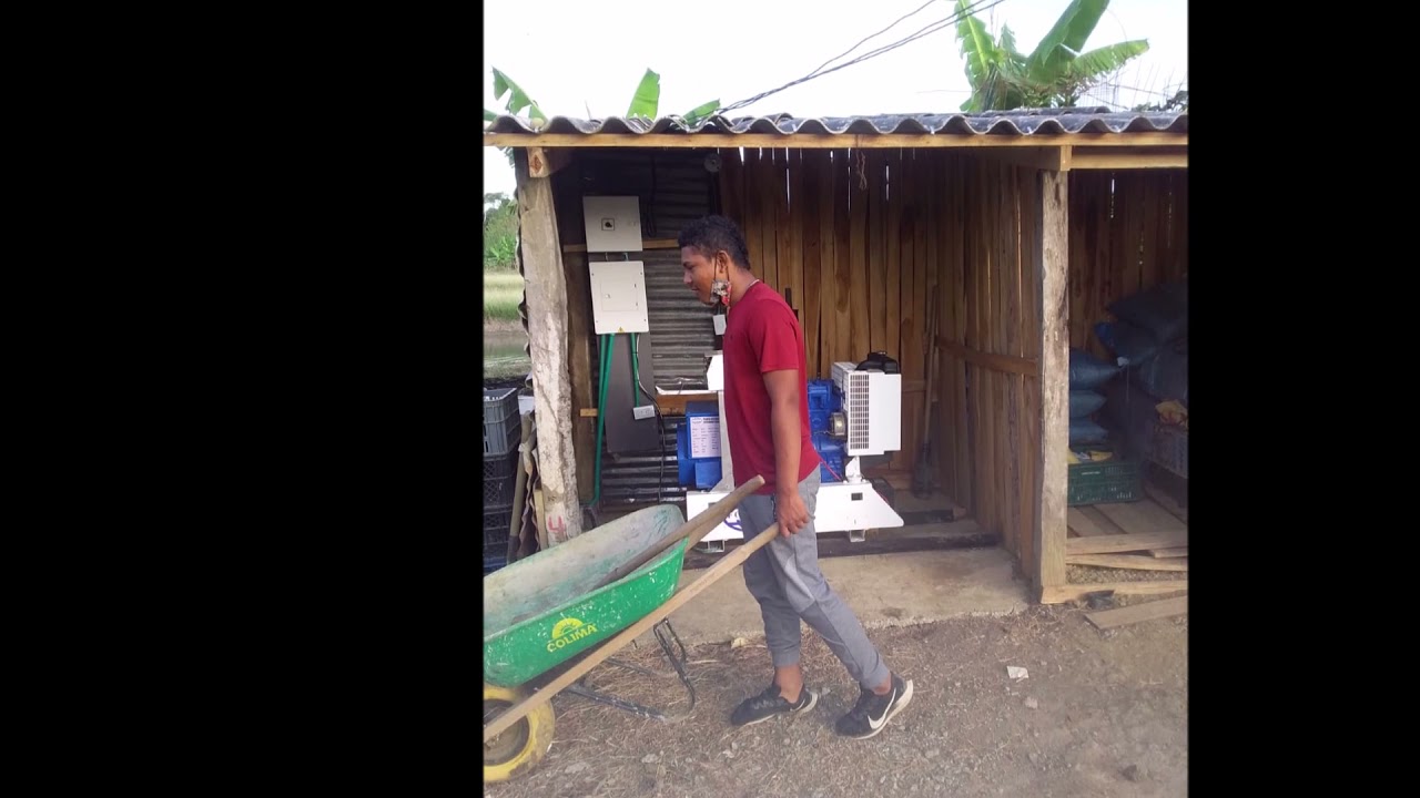 Acuicola la paz