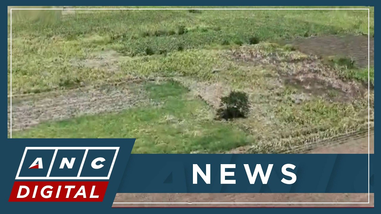 Компания First Gen начала строительство солнечной электростанции мощностью 54 мегаватта в Батанга...