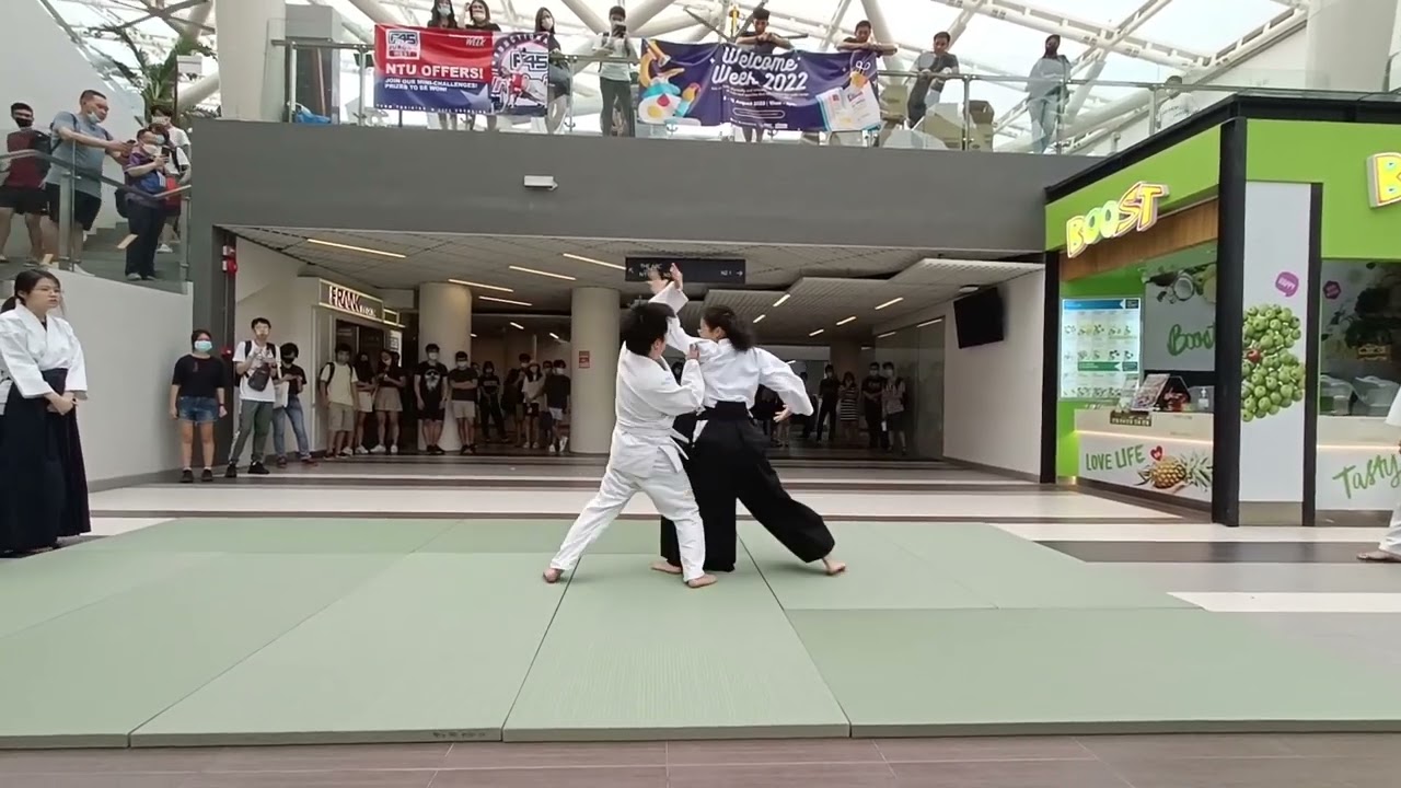 NTU Aikido Club CCA Fair Performance 2022