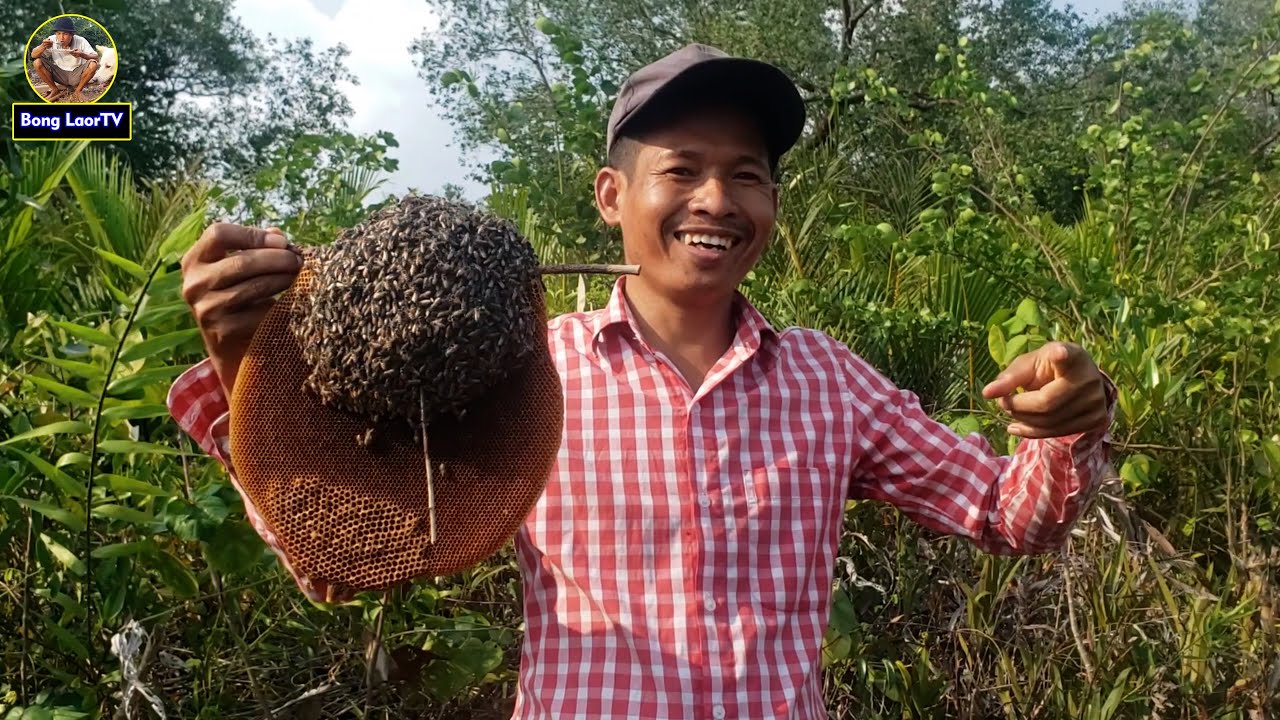 ក្មួយៗនាំទៅយកឃ្មុំមាត់ព្រែកសមុទ្រ OUR REAL LIFE IN MY VELLAGE 4K VIDEO