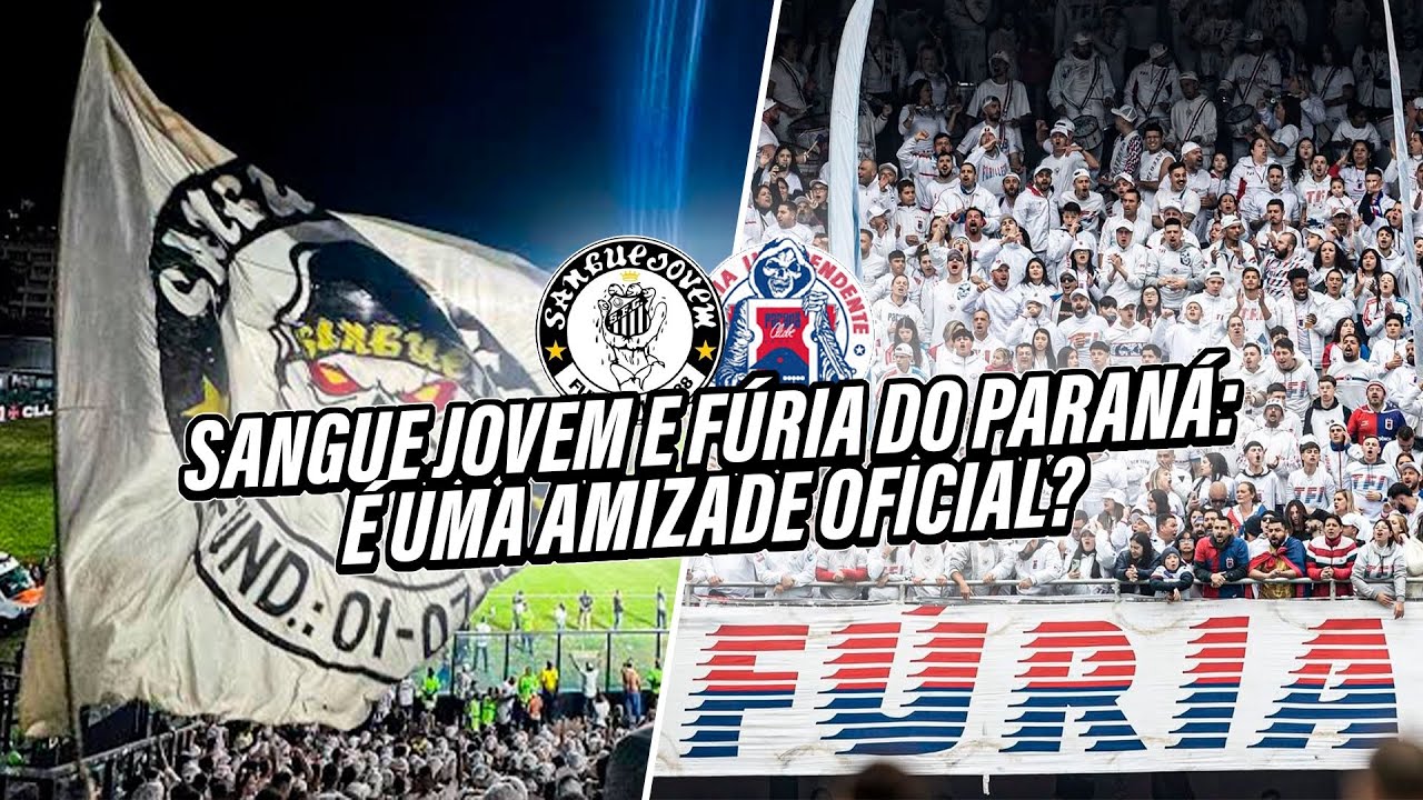 A RELAÇÃO ENTRE SANGUE JOVEM DO SANTOS E FÚRIA DO PARANÁ