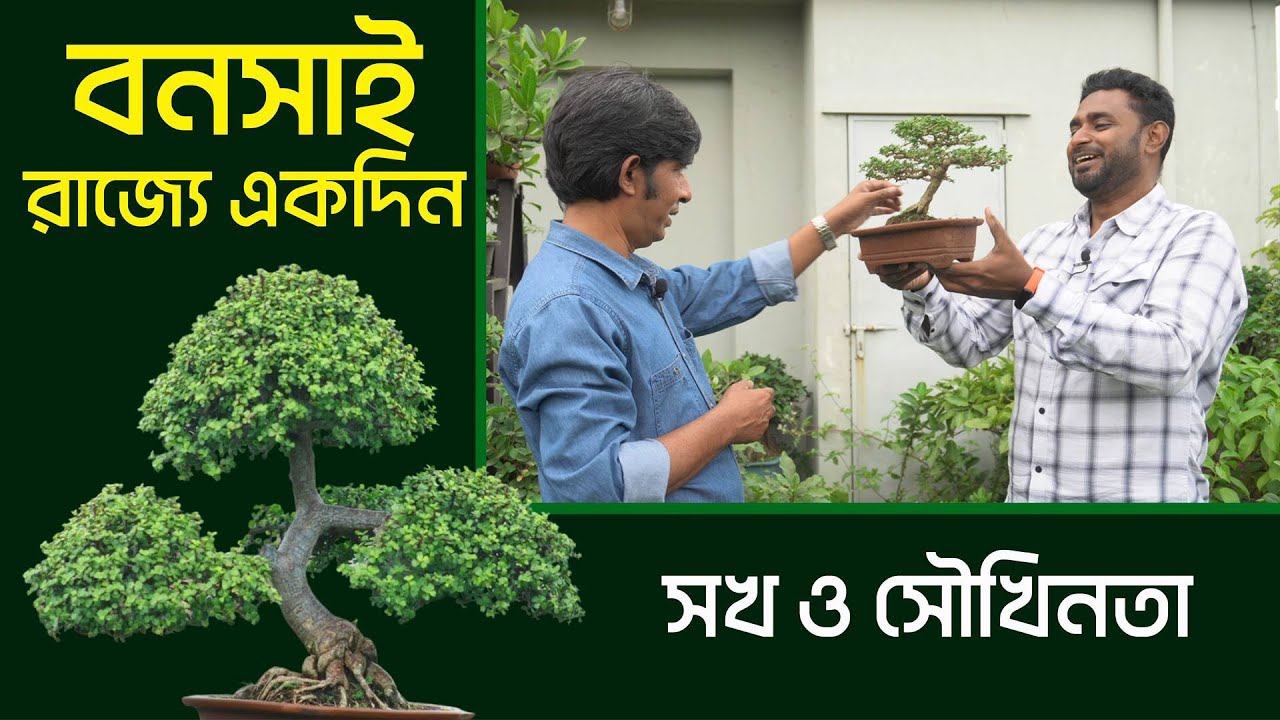 বনসাই রাজ্যে একদিন | সখ ও সৌখিনতা | Bonsai Tree Garden | Rooftop Garden Idea | Chittagong Live
