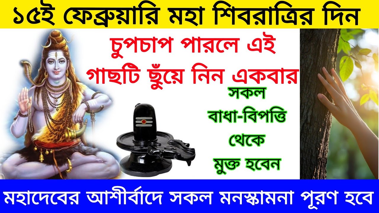 মহা শিবরাত্রি দিন গোপনে পারলে এই গাছটি ছুঁয়ে আসুন ,সকল মনস্কামনা পূর্ণ হবে l Shivratri 2026