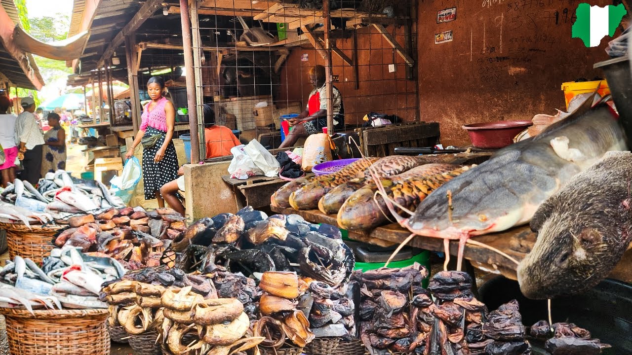 Рынок морепродуктов Янга, Бенин-Сити 🇳🇬. Свежая и сушеная рыба, дичь и копченая продукция на эксп...