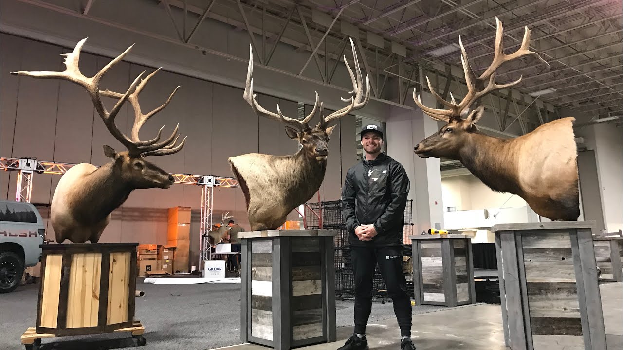 HUGE TAXIDERMY TOUR | CHECK OUT MY NEW BULLS!