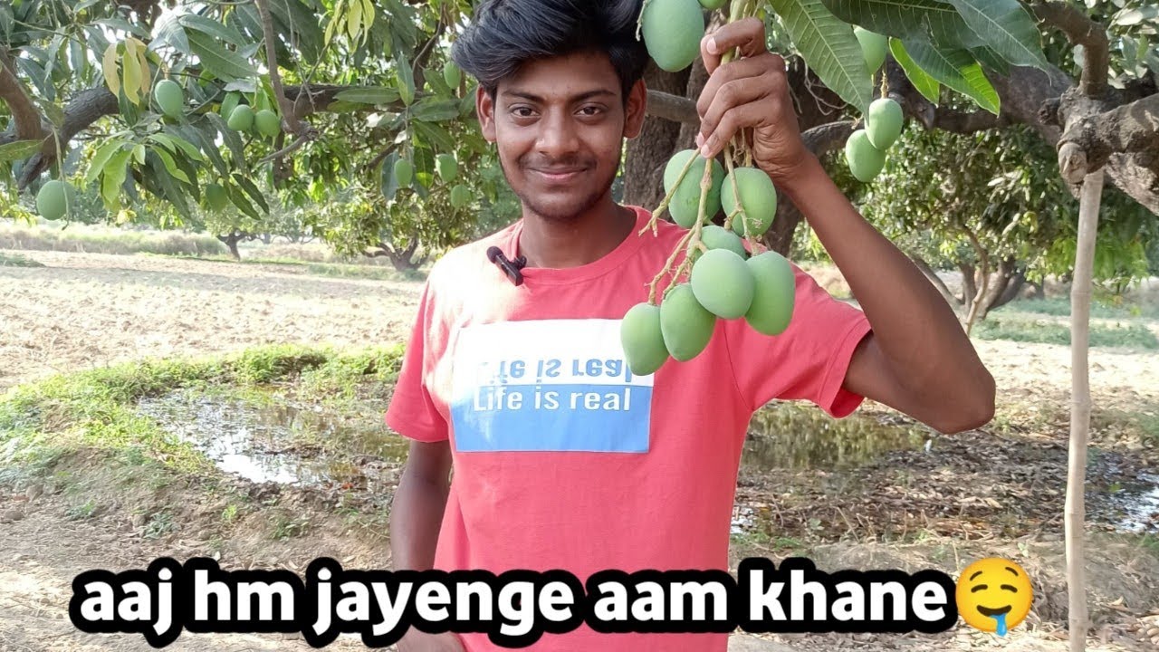 Aaj Hum Jayenge Aam Khane 🤤🤭