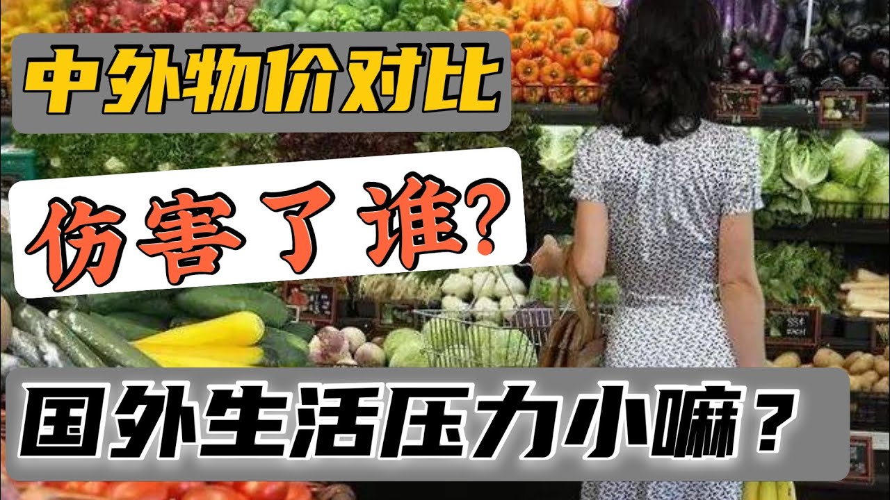 中外物价对比伤害了谁，国外赚得多花的少吗，为啥感觉国外压力小