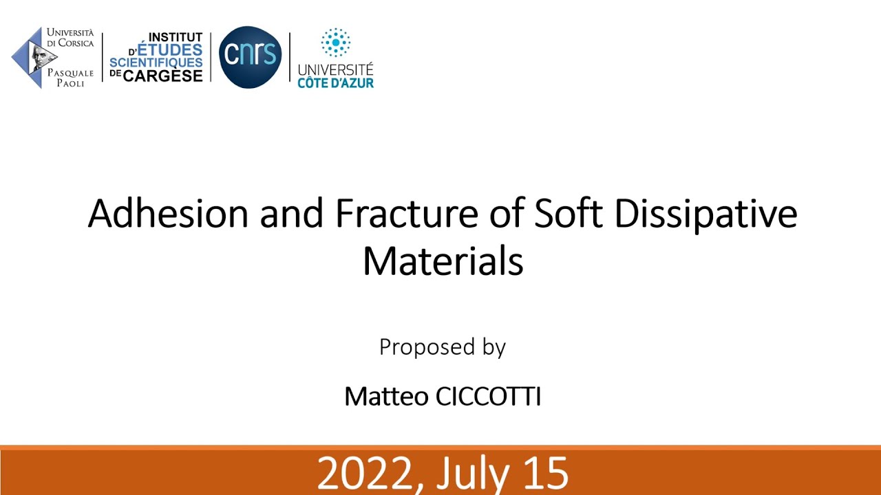 Adhesion and Fracture of Soft Dissipative Materials | Matteo Ciccoti