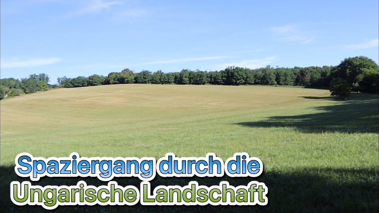 Ungarische Landschaft | da kann man sich gut unterhalten | die Michaela auswandern Ungarn