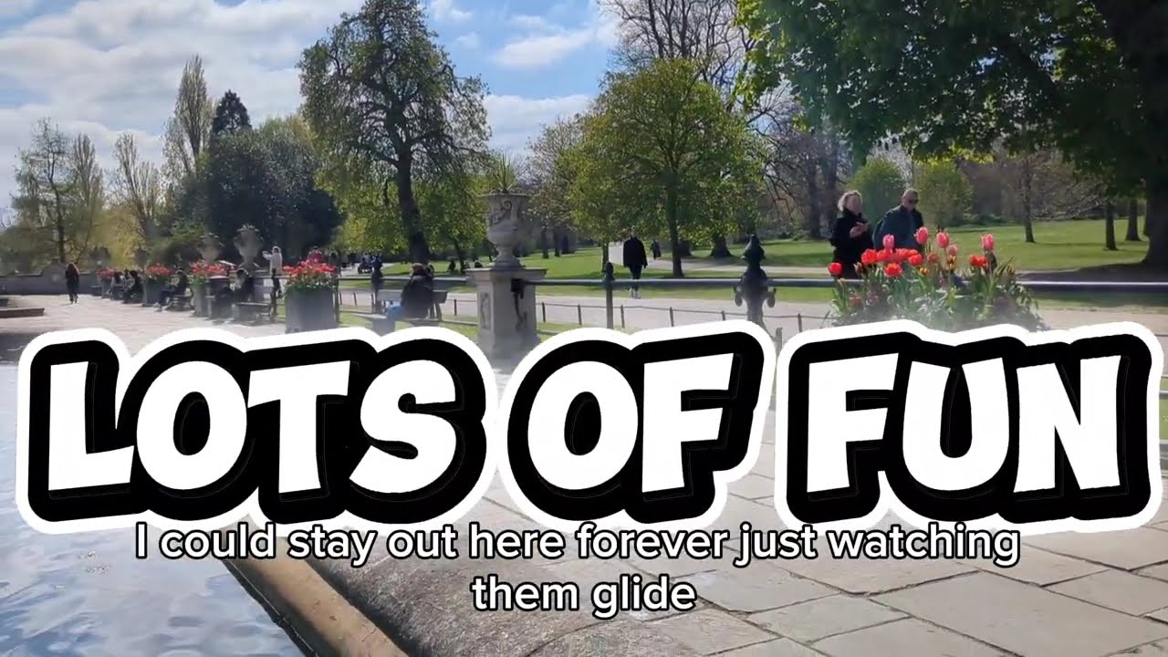 Picnic and Paddle Boating in Hyde park 