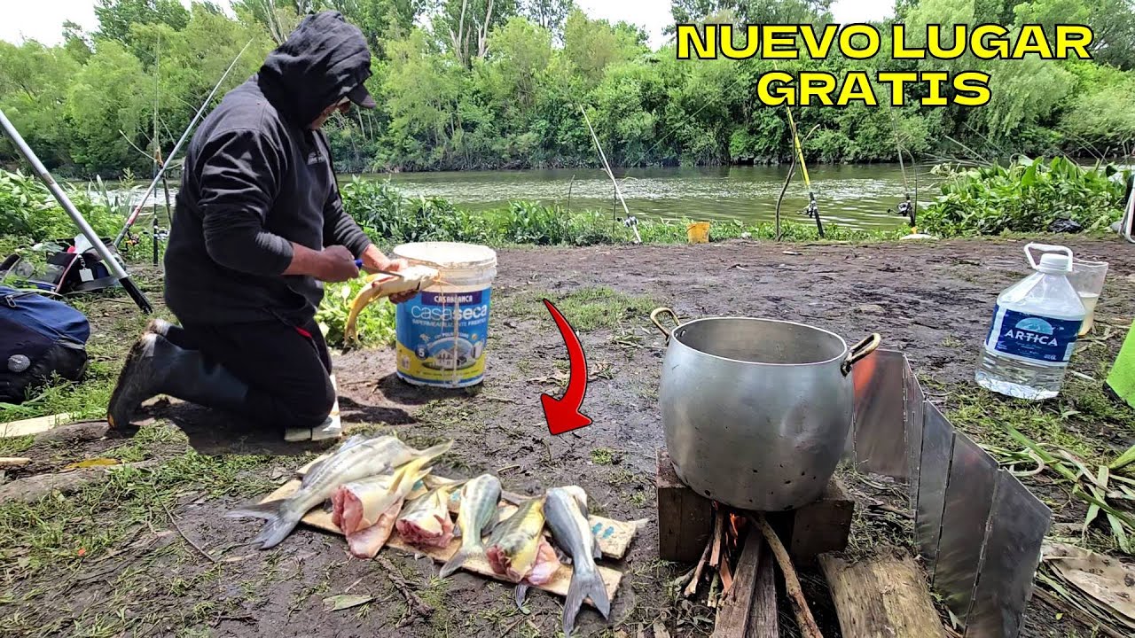INCREIBLE PESCA DE GRANDES BAGRES Y OTRAS ESPECIES EN ESTE LUGAR POCO CONOCIDO, NATURALEZA PURA🔥🎣