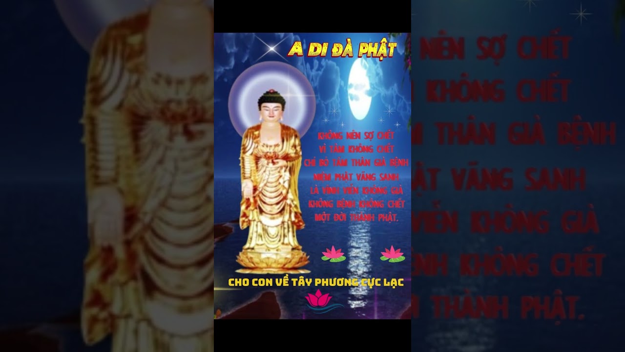 31p50 LE A DI DA PHAT BHN LAI VUNG DTHAP