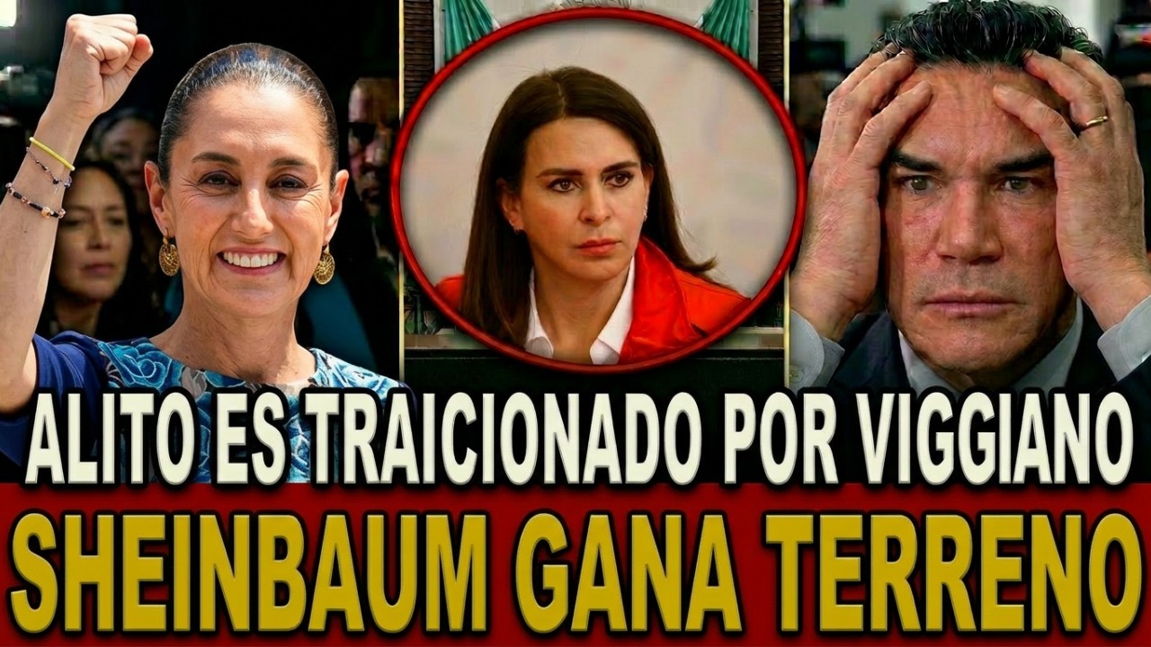 🚨Sheinbaum los tiene LOCOS ¡VIGGIANO TRAICIONA a ALITO! Admite que SIN Coalición el PRI DESAPARECE