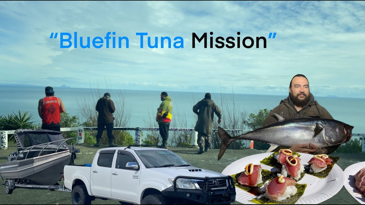 Hooked in Waihau: The Boys vs. Bluefin