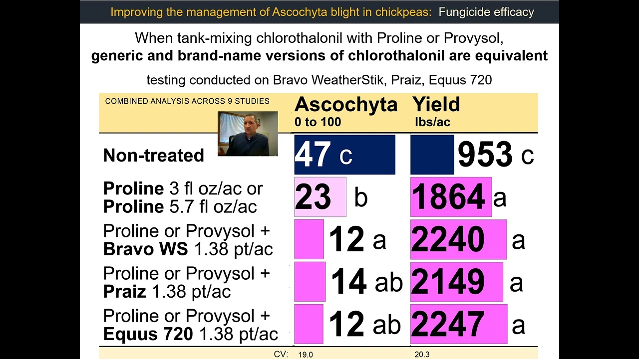 2025 CHICKPEA Ascochyta fungicide efficacy