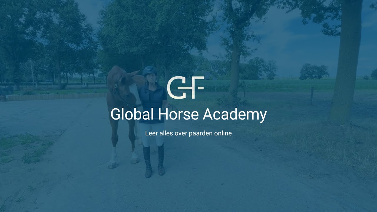 Leren lopen met een paard aan een halster | Stoppen, stilstaan & sturen. Paardrijden voor beginners