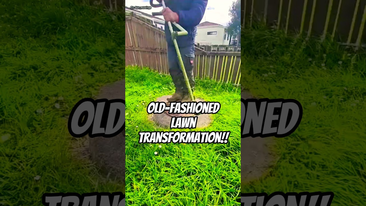 Lawn Transformation the Old-School Way | Most Satisfying Before & After ❤