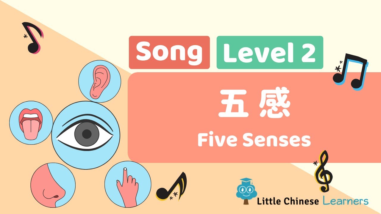 Chinese Songs for Kids – Five Senses 五感 | Level 2 Song | Little Chinese Learners