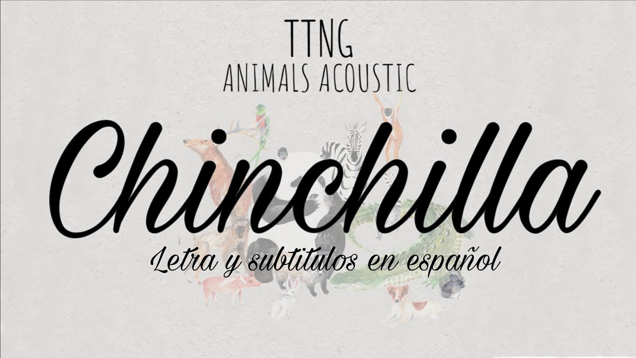 Chinchilla (acustic)  - This Town Needs Guns (TTNG) Lyrics + sub español