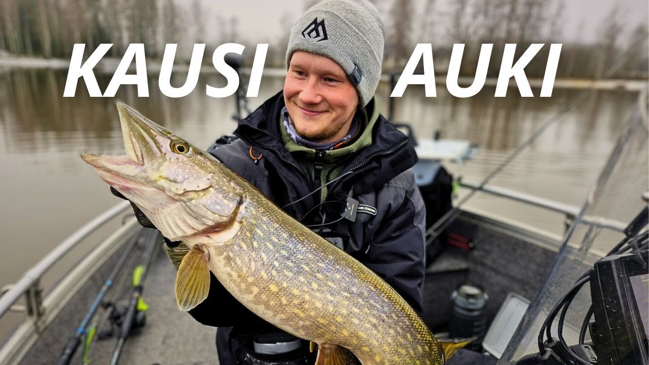 AVOVESIKAUDEN AVAUS 2024 | MISTÄ AKTIIVINEN KALA LÖYTYY?
