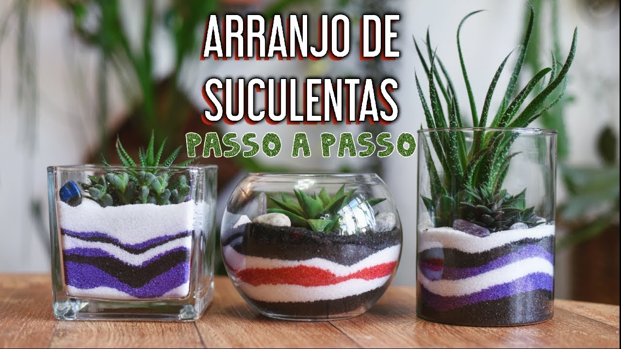 ARRANJO de SUCULENTAS com AREIA em CAMADAS
