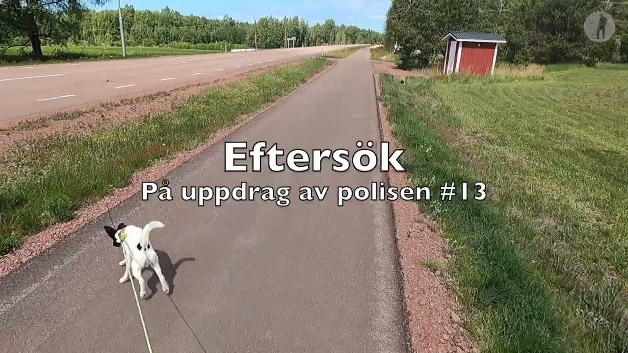 På uppdrag av polisen #13
