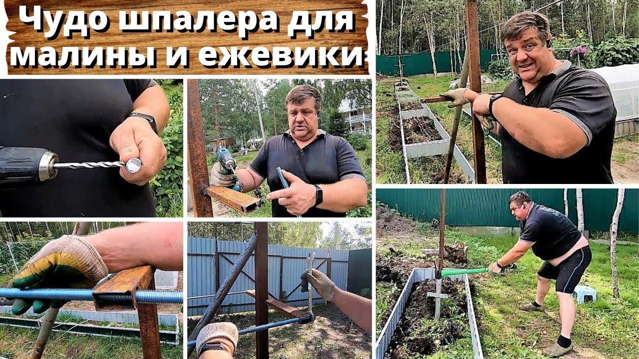 Как сделать шпалеру для малины, ежевики.  Самая удобная шпалера.