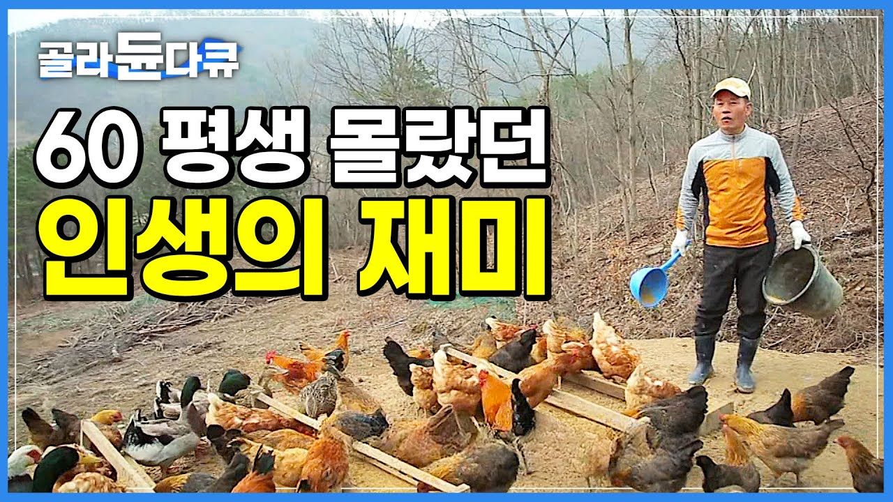 귀농하고 우울할 틈이 없다는 대기업 임원 출신 농부의 하루ㅣ환갑 넘어 발견한 인생의 재미ㅣ귀농 부부의 은퇴하고 동물농장ㅣ한국기행│#골라듄다큐