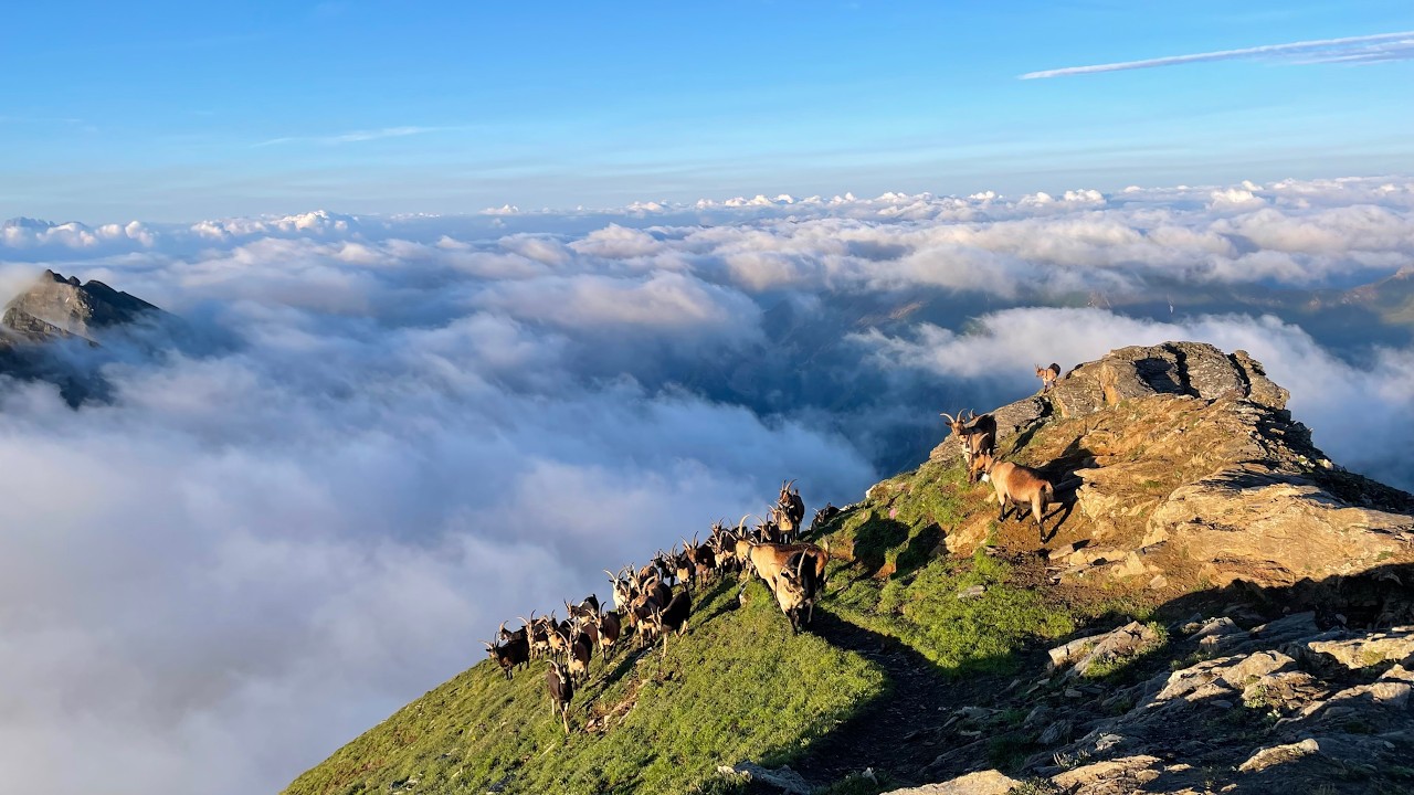 Sunrise Hike and Fly | 2024