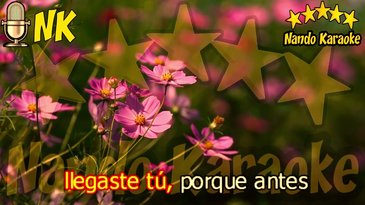 LA HISTORIA DE MI VIDA - Los Chicanos Karaoke