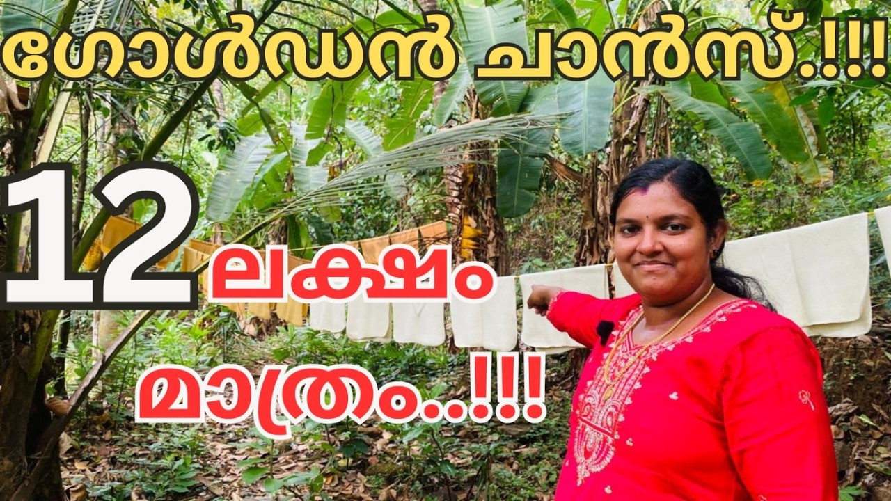 915:  12 ലക്ഷം രൂപ കയ്യിലുണ്ടോ..? 3 ഏക്കർ 16 സെൻറ് സ്ഥലം 12 ലക്ഷം രൂപ ഏക്കറിന്.. ഉടൻ ബന്ധപ്പെടുക..