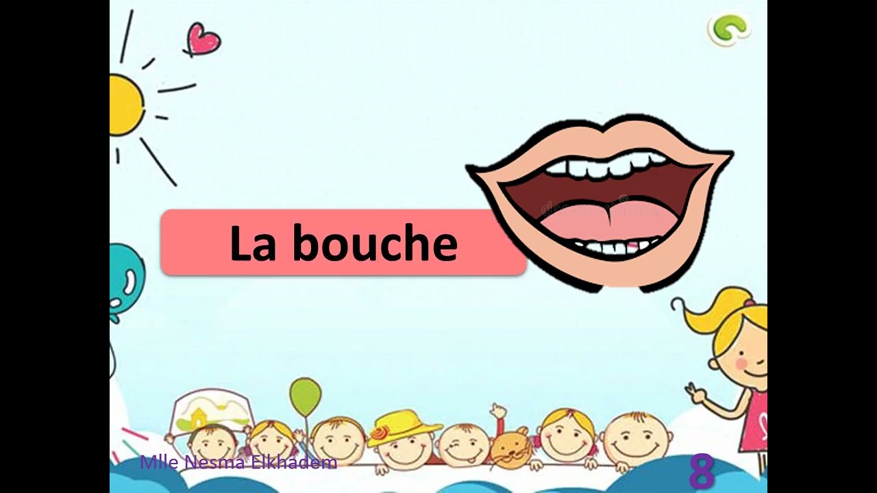 La tête et Le visage