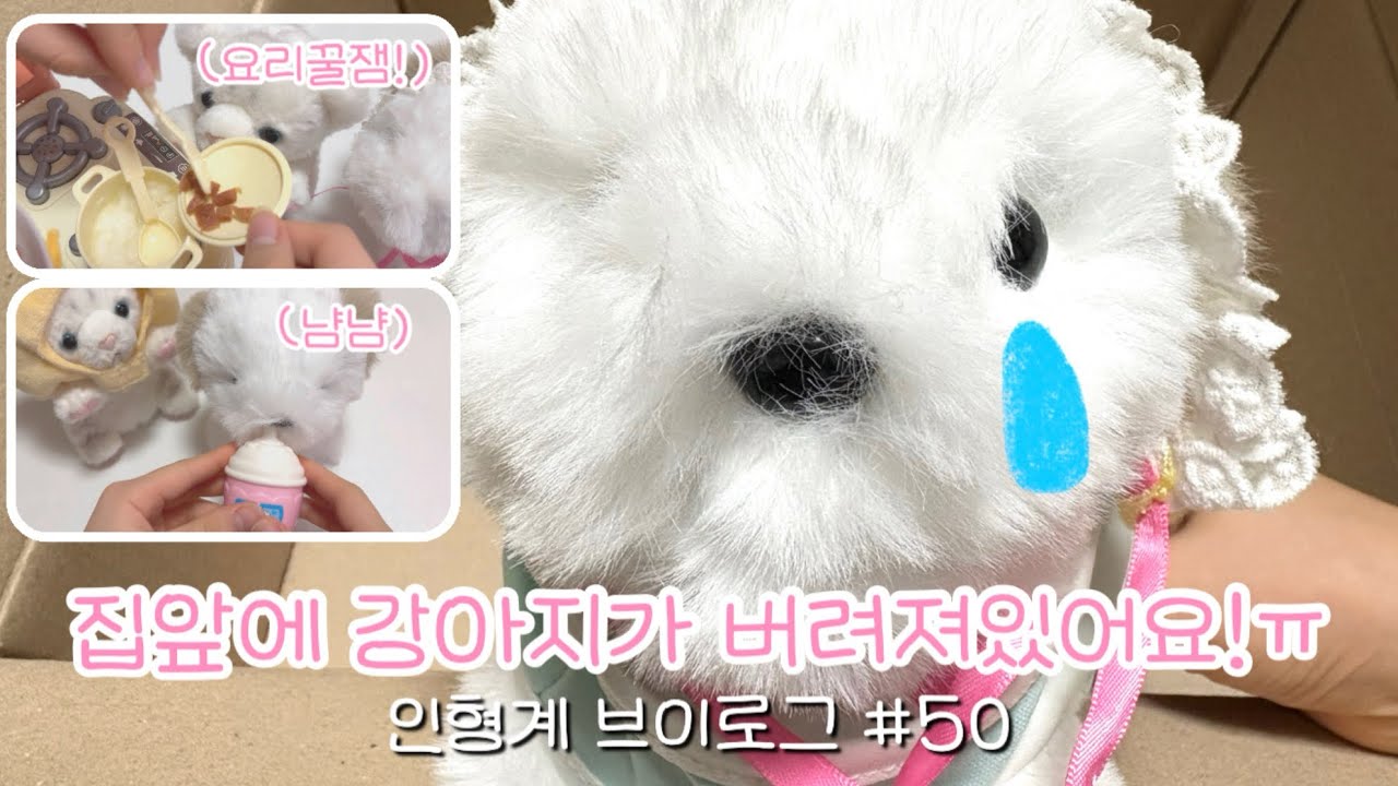 🐶집앞에 버려져 있는 인형키우는 브이로그 #50🥺헿휘핑 #인형계 #강아지 #추천 #관리자님추천뜨게해주세요 #히트치자