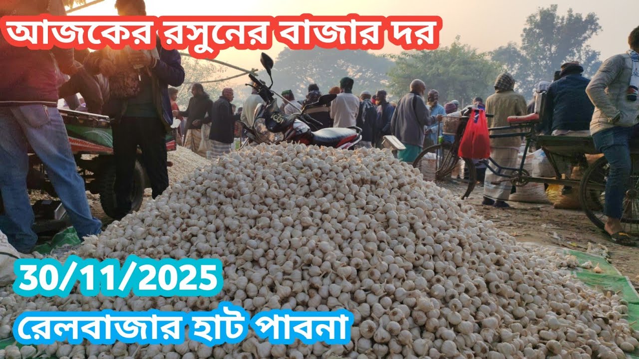 30 November 2025 আজকের রসুনের বাজার দর। Garlic market price rate today. রসুনের হাট বাজার দর 