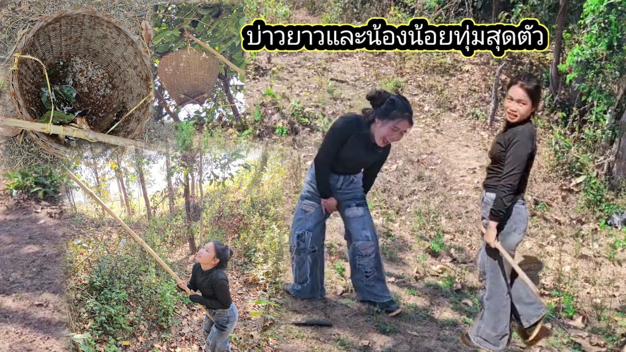 งานนี้แหย่ไข่มดแดงกับน้องน้อยทั้งเจ็บทั้งแสบ​ ​งานนี้​30 มกราคม ค.ศ. 2026