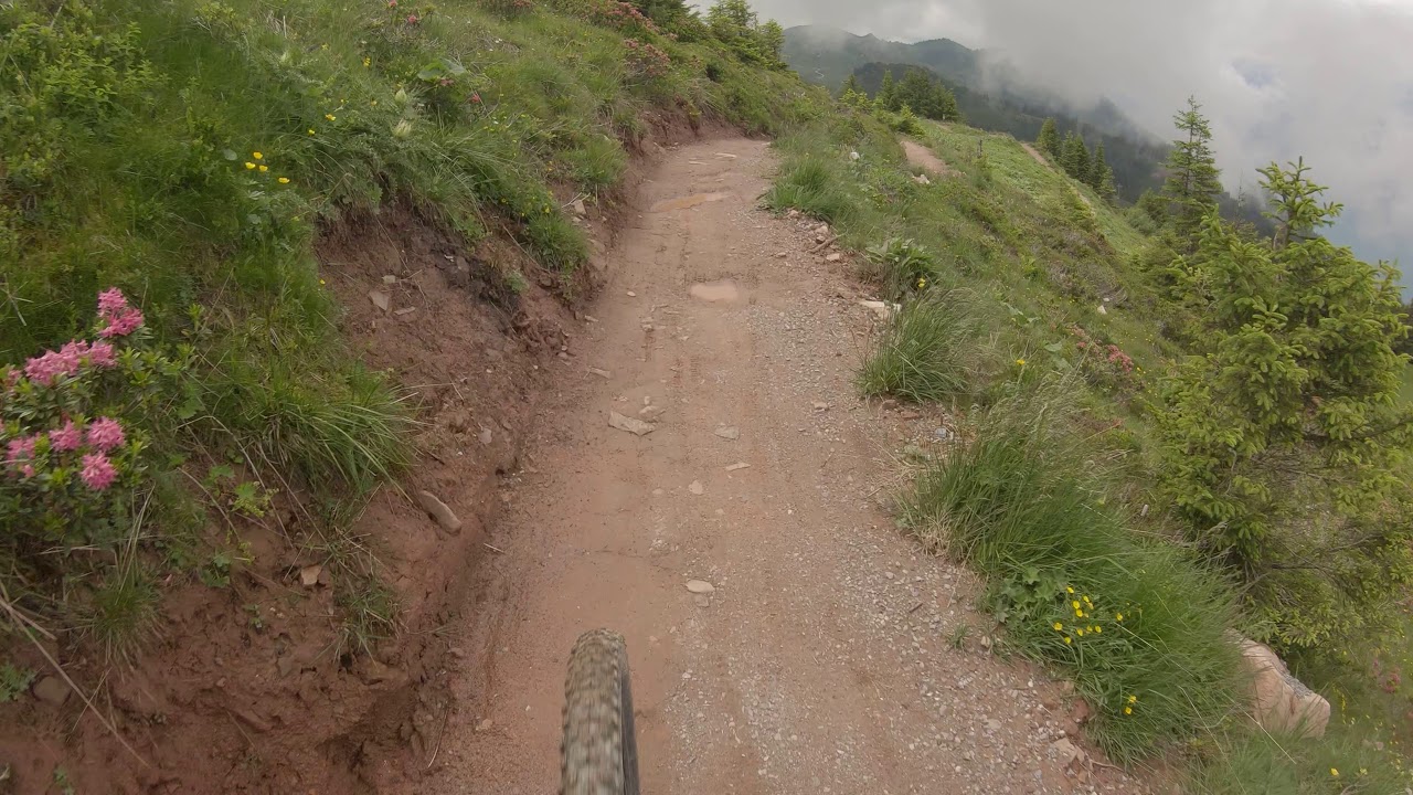 Flumserberg trails - Red Fox - Blue Salamander Pt.1