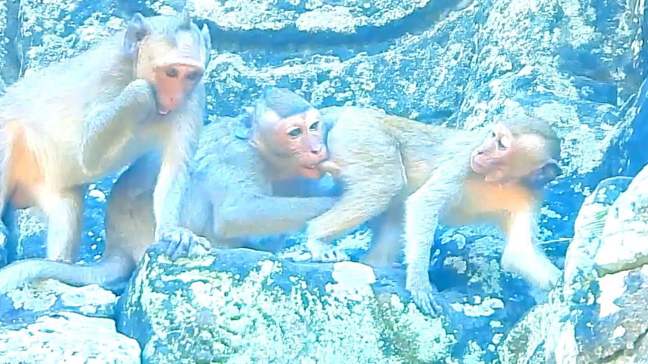 Two Girl, One Is Dakota Other is Juliana But Boy Is George In the Middle