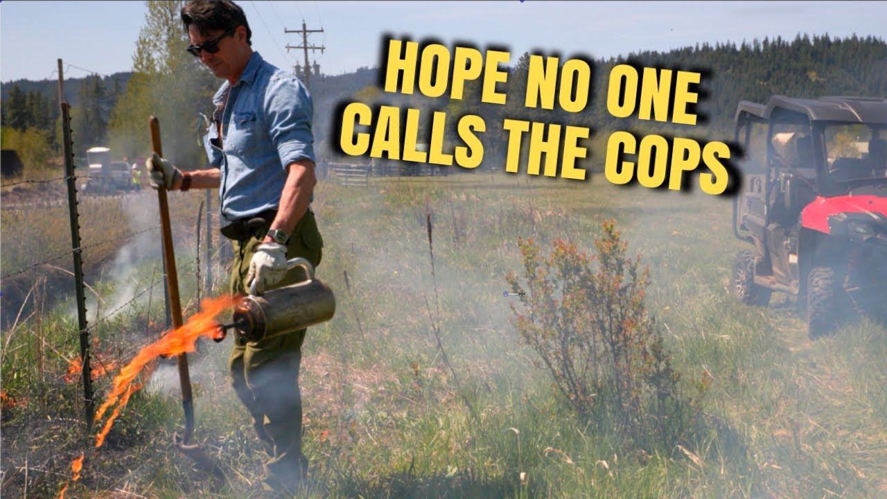 I Lit My Field on Fire