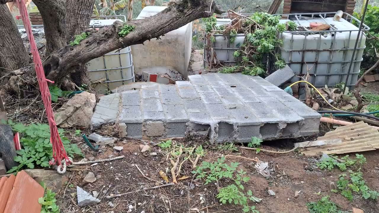 Destruction in the food forest 