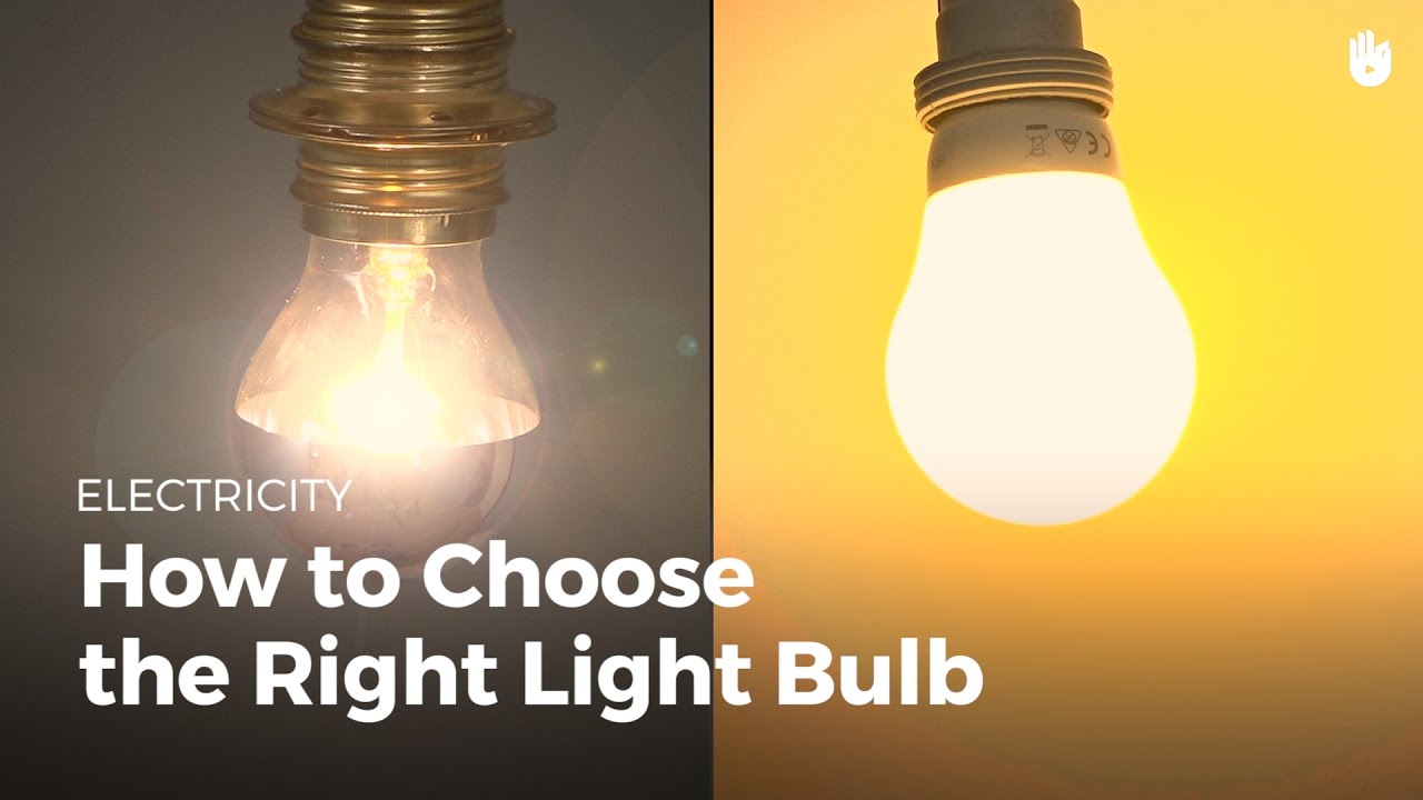 How to Choose a Light Bulb | Electricity