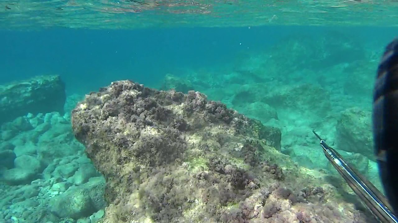 Karaburun levrek avım [sığ su candır zorlamaya çok da gerek yok )